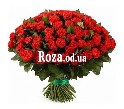 149 roses in El Toro