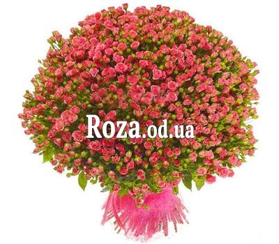 151 cluster rose