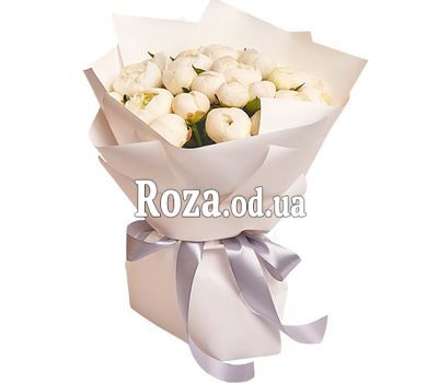 17 белых пионов
