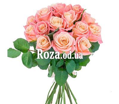 17 персиковых роз