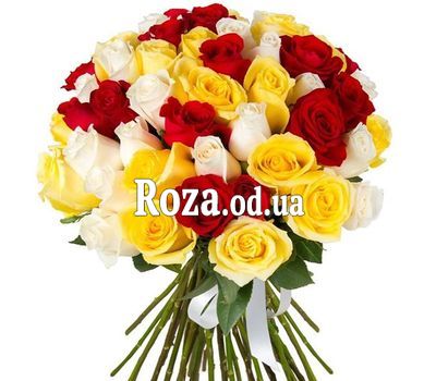 51 разноцветная роза