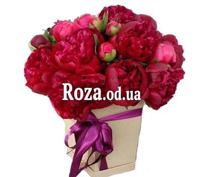Бордовые пионы в коробке