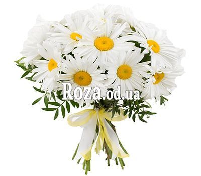 Букет из 19 ромашек