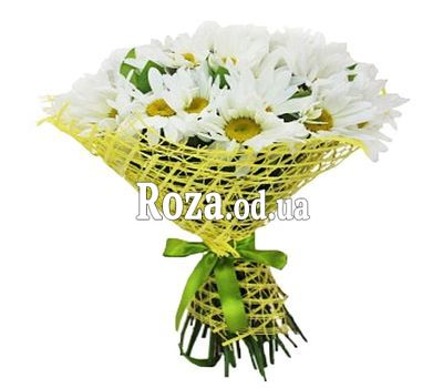 Букет из 25 ромашек