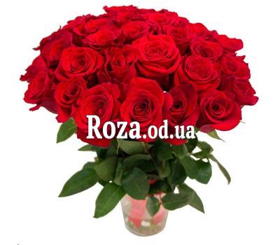 Bouquet of 31 red roses