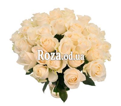 Bouquet of 33 white roses