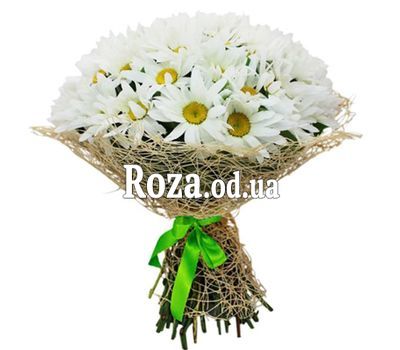 Букет из 35 ромашек