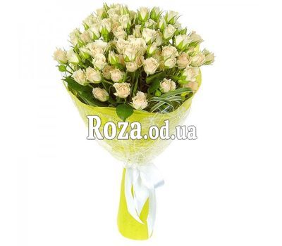 Bouquet of 9 bush roses