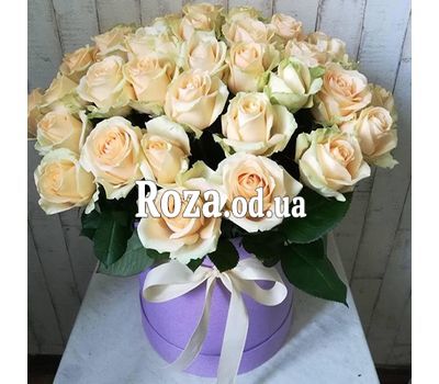 51-roza-v-shlyapnoj-korobke