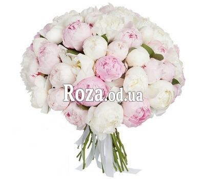 Облако из 51 пиона