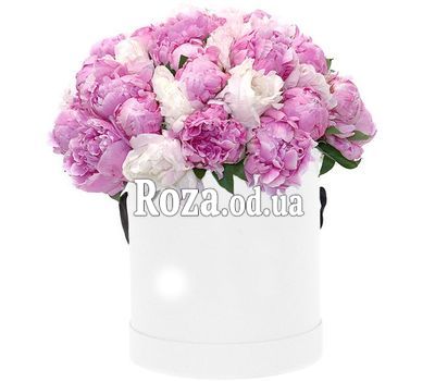 Peonies in a Hat Box