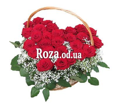 27 красных роз