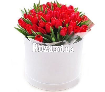 35 красных тюльпанов в коробке