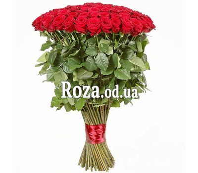 51 импортная роза
