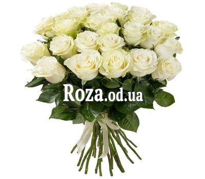 25 белых импортных роз
