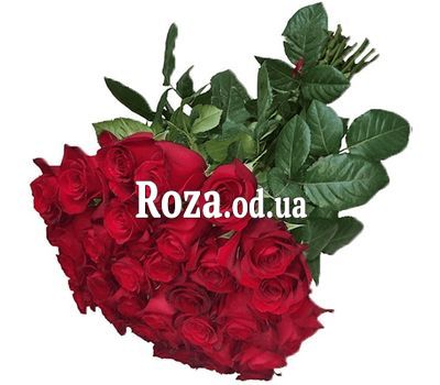 31 красная импортная роза
