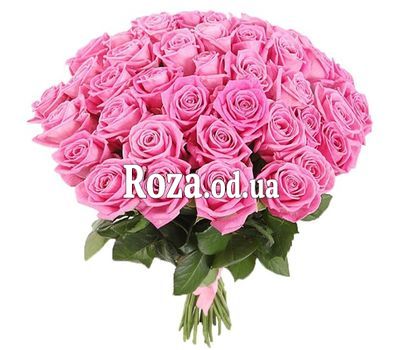 41 розовая роза