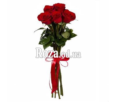 5 красных импортных роз
