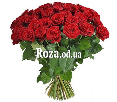 71 красная роза