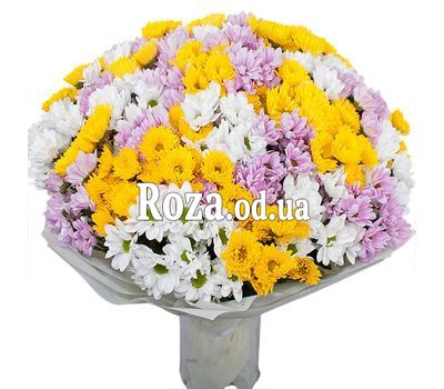 Большой букет из 35 хризантем