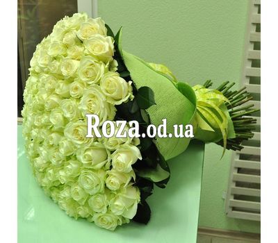 101 roses Odessa - вид 1