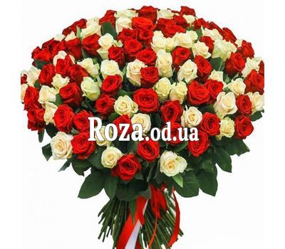 101 роза 60 см