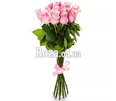 11 импортных роз