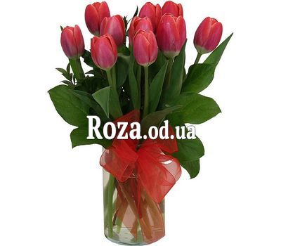 11 red tulips