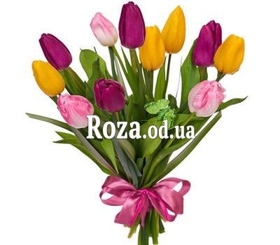 11 multi-colored tulips