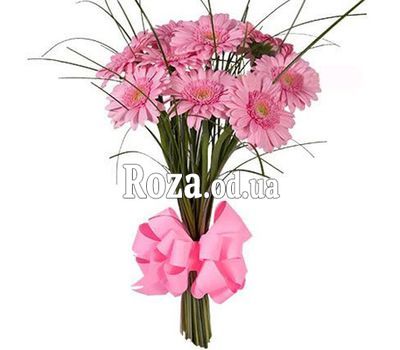 11 pink gerberas