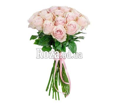 15 импортных розовых роз