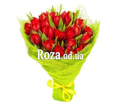 19 red tulips