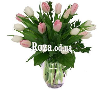 19 tulips