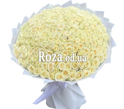Букет из 201 белой розы