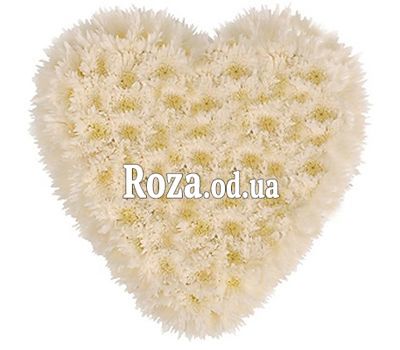 25 хризантем сердце