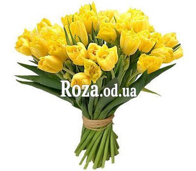 25 yellow tulips
