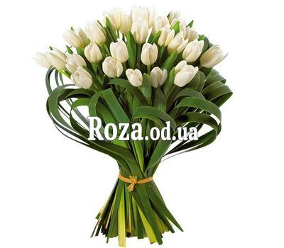 29 белых тюльпанов