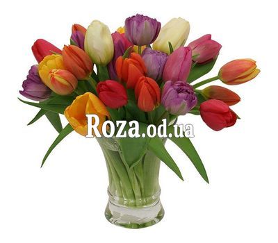 29 разноцветных тюльпанов