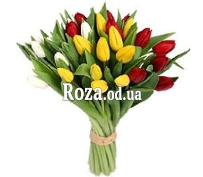 29 різнокольорових тюльпанів