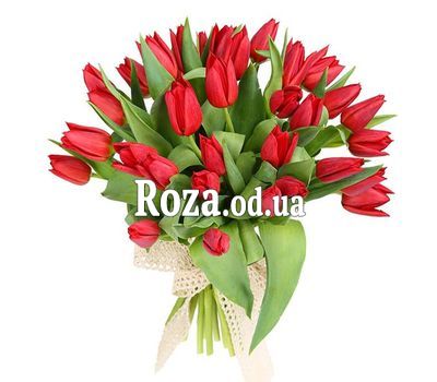 35 red tulips