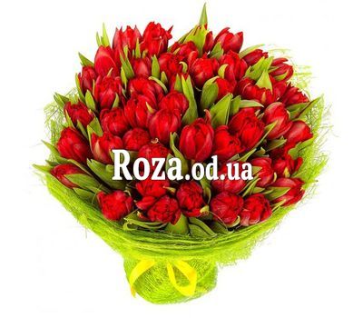 35 red tulips
