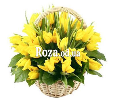 45 yellow tulips