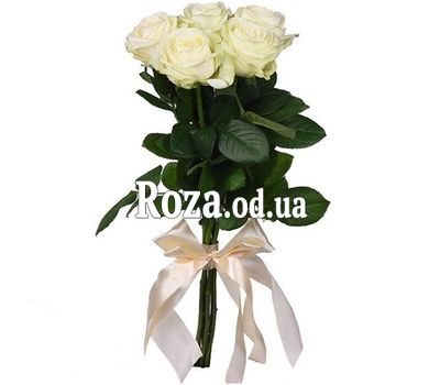 5 импортных роз