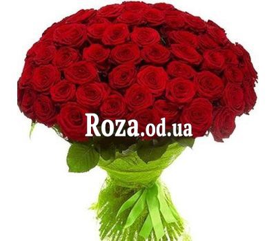 61 red rose 70 cm