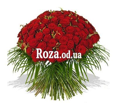 65 красных роз 60 см