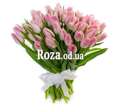 65 розовых тюльпанов