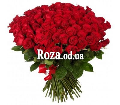 75 red roses 60 cm