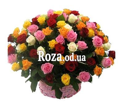 75 multi-colored roses