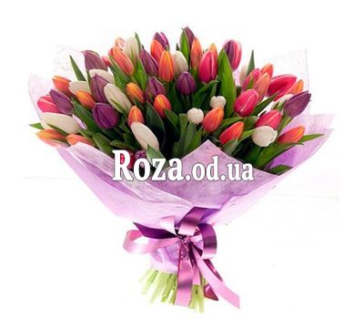 75 multi-colored tulips