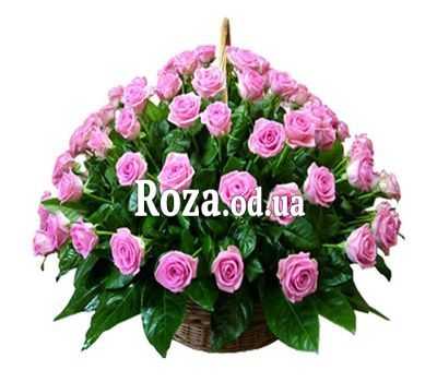 75 розовых роз в корзине
